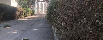 СПАСИТЕ КРАСОТУ В ГОРОДСКОМ ПАРКЕ АРЦИЗА!