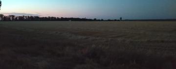  В Ізмаїльському районі два брати самовільно засіяли землі пайщиків