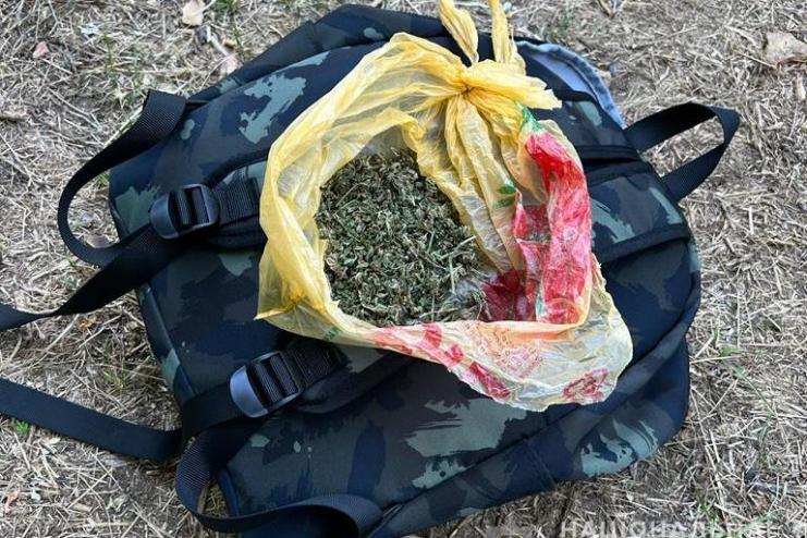 Поліцейські Одещини викрили чотирьох чоловіків у незаконному вирощуванні коноплі та маку 