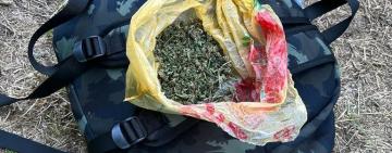 Поліцейські Одещини викрили чотирьох чоловіків у незаконному вирощуванні коноплі та маку 