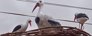 Нас ніколи не перемогти! В селі Кілійської громади з’явився живий символ України 