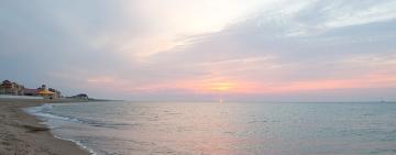 На Одещині викрито злочинну групу, яка незаконно привласнила базу відпочинку та землю під нею