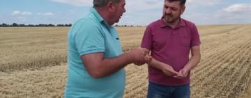 Жнива на Болградщині продовжуються