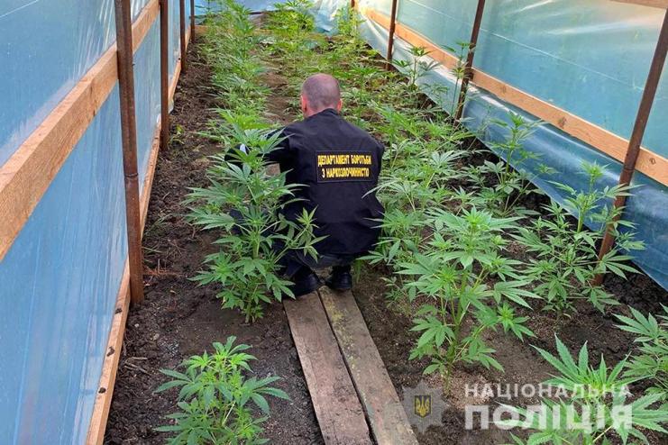 На Одещині поліцейські вилучили наркотики та психотропи на понад 10 мільйонів гривень