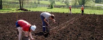 НА ОДЕЩИНІ ТЕЩА ПОДАЛА ДО СУДУ НА ЗЯТЯ ПІСЛЯ ПОСАДКИ КАРТОПЛІ