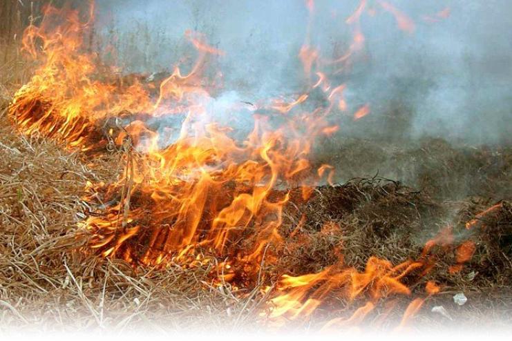 На Одещині під час пожежі постраждала 74-річна бабуся