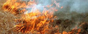 На Одещині під час пожежі постраждала 74-річна бабуся