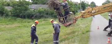 На Одещині енергетики допомогли відновити зруйноване гніздо для лелек