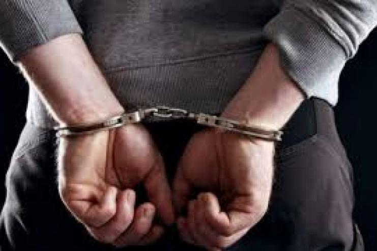 Поліцейські викрили в крадіжках сімох жителів Одещини, серед них - неповнолітній з Арцизської громади