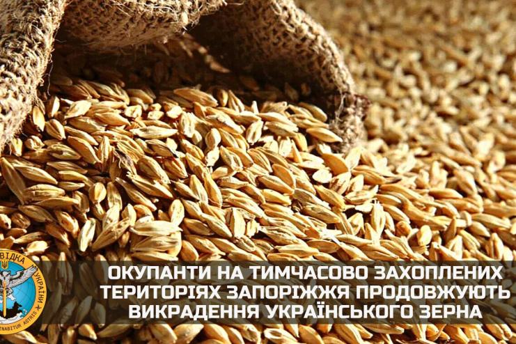 Окупанти на тимчасово захоплених територіях Запоріжжя продовжують викрадення українського зерна