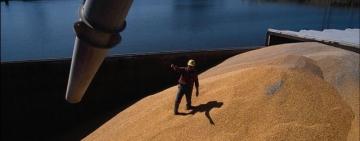 Через українську частину гирла Дунаю в порти Одеської області зайшли 8 іноземних торгівельних суден