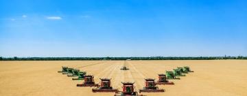 Аграрії Одещини зібрали третину площ ранніх зернових