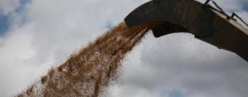 США після переговорів у Стамбулі заявили, що не блокуватимуть експорт продуктів з Росії