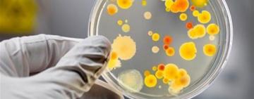 Небезпечний "ТІРАМІСУ": в Одесі збільшилась кількість хворих на сальмонельоз