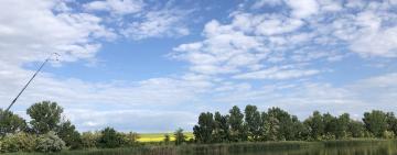 ЧИ ЗАБОРОНЕНО КУПАТИСЯ У МИРНОПІЛЬСЬКОМУ ВОДОЙМИЩІ?