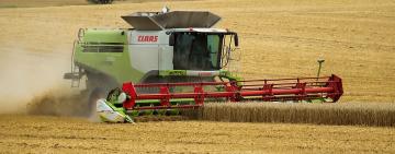 У Тарутинській ПТГ зібрано 45 419 т ранніх зернових