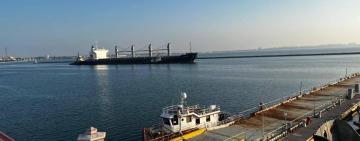 Наступного тижня на "зернову ініціативу" в Україні почне працювати Південний порт