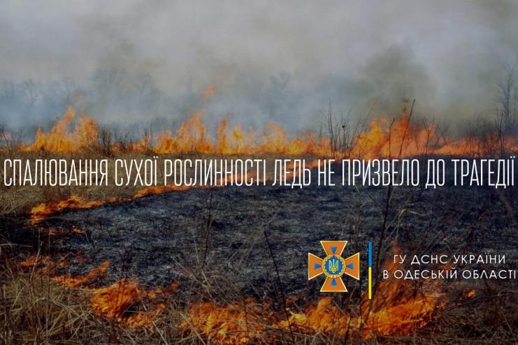 Спалювання сухої рослинності могло призвести до трагедії 