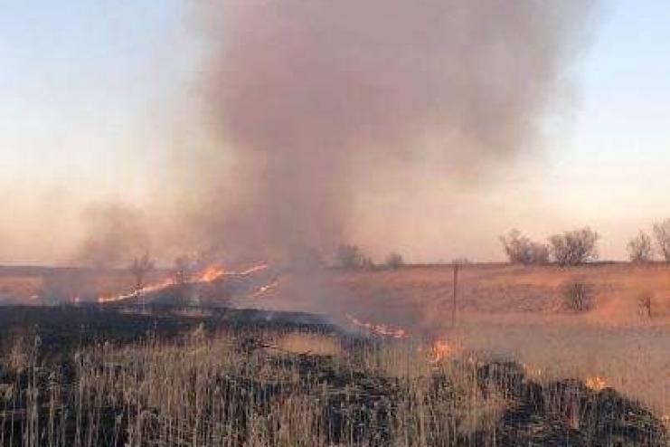 У минулу неділю у Павлівці сталася масштабна пожежа