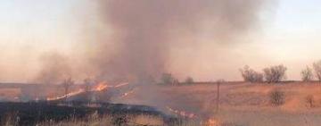 У минулу неділю у Павлівці сталася масштабна пожежа