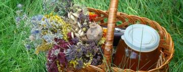 Что освящают в храмах 14 августа?