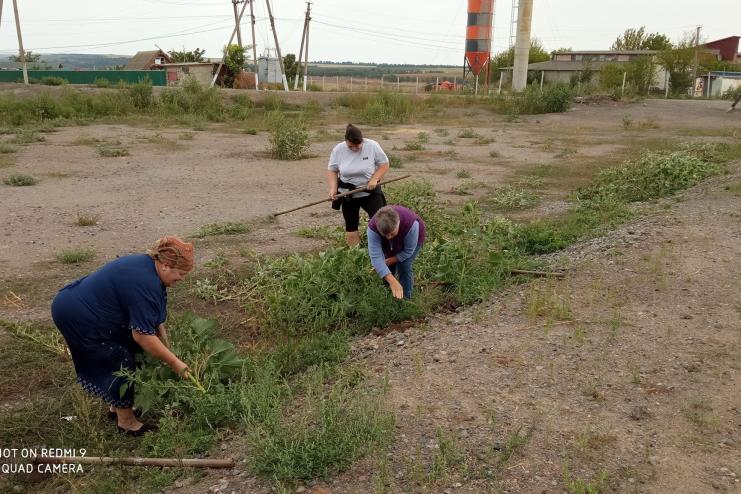 На Тарутинщині борються з амброзією