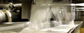 В Україні цьогоріч не буде працювати 10 цукрових заводів