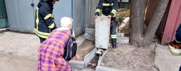 В Одесі врятували собаку, який застряг між бетонними плитами