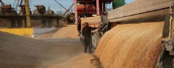 За 22 дні з початку роботи «зернового коридору» з українських морських портів вийшло 33 кораблі