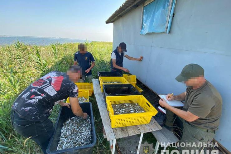 Браконьєри з Білгород-Дністровського району завдали державі понад мільйон гривень збитків