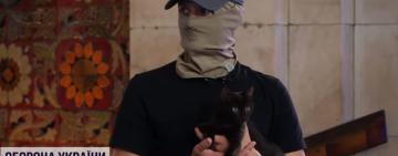 Живе в Києві і слухається лише дружину командира: в мережі розповіли про долю кота з острова Зміїний (відео)