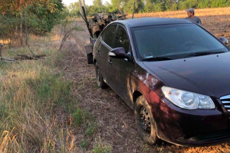 Павлівська сільрада попереджає громадян про відповідальність за незаконну вирубку дерев