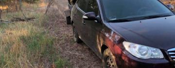 Павлівська сільрада попереджає громадян про відповідальність за незаконну вирубку дерев