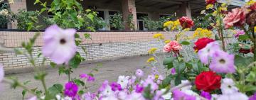 Не чекаючи розпорядження: в лікарнях Кілійської громади облаштовують укриття