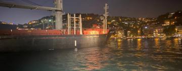 Судно з українським зерном стало на мілину біля берегів Стамбулу