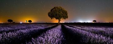 Гороскоп на тиждень 5-11 вересня