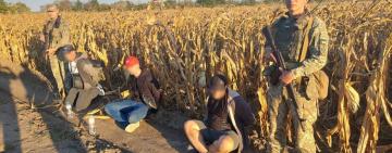 Ізмаїльські прикордонники у Болградському районі  знову зібрали «урожай із ухилянтів»