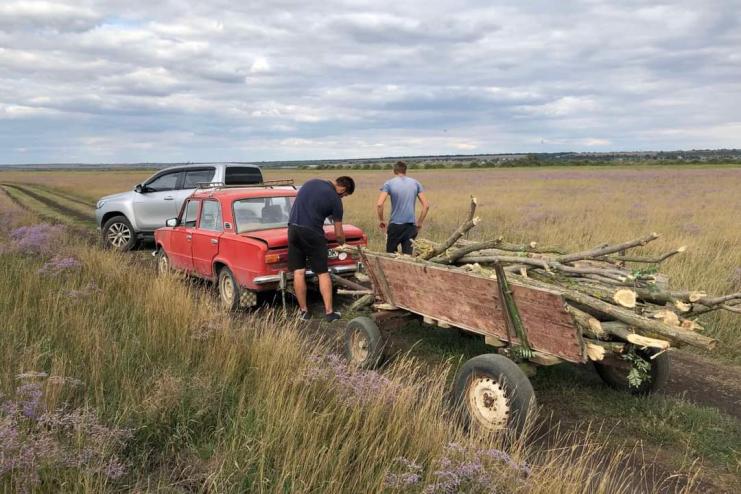 ЛІСОСМУГИ ПАВЛІВСЬКОЇ СІЛЬСЬКОЇ ТЕРИТОРІАЛЬНОЇ ГРОМАДИ ТАК І МАНЯТЬ ЛЮБИТЕЛІВ ЛЕГКОЇ НАЖИВИ
