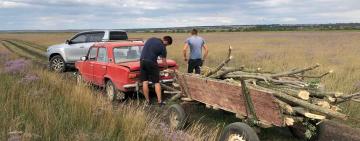 ЛІСОСМУГИ ПАВЛІВСЬКОЇ СІЛЬСЬКОЇ ТЕРИТОРІАЛЬНОЇ ГРОМАДИ ТАК І МАНЯТЬ ЛЮБИТЕЛІВ ЛЕГКОЇ НАЖИВИ