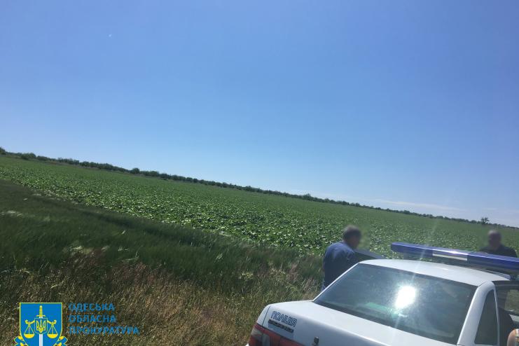 В Болградському районі підприємця зобов’язали повернути сільраді самовільно захоплені землі вартістю 48 млн грн (ФОТО)