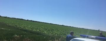 В Болградському районі підприємця зобов’язали повернути сільраді самовільно захоплені землі вартістю 48 млн грн (ФОТО)