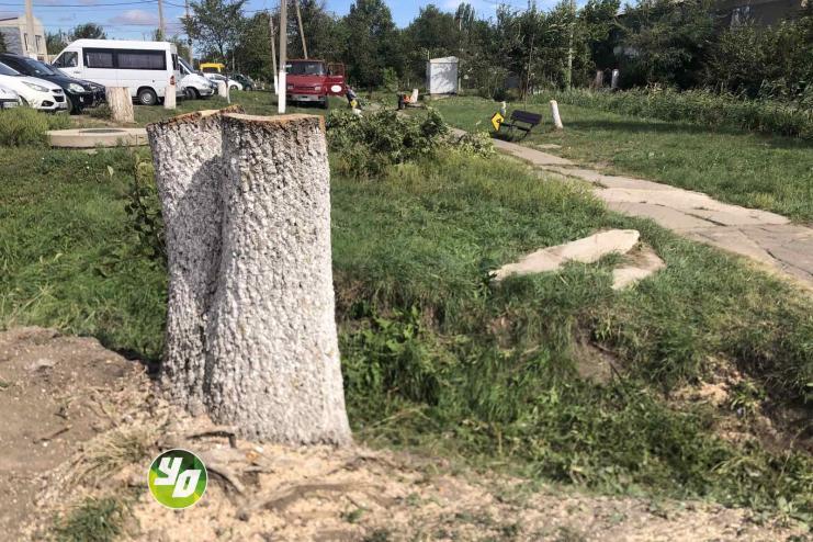 БЛАГОУСТРІЙ ЧИ ЗЛОЧИН: В АРЦИЗІ МІСТЯНИ ПРОТИ «ОНОВЛЕННЯ» ПАРКОВОЇ ЗОНИ