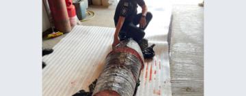 В Одеській області викрили масштабну схему незаконного вилову білуги та севрюги на Дунаї