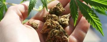 Жителька Болграда намагалася перевезти за кордон наркотичні засоби