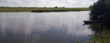 В Кілії чоловік стрибнув у воду і зник