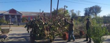 Осінній благоустрій у Тарутинській громаді