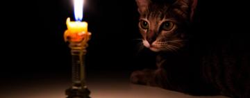  ДТЕК оновив графік відключення електроенергії на Одещині