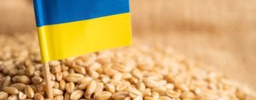 Росія не пропускатиме кораблі "зерновим коридором": ультиматум від країни-терориста