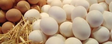 Мінагрополітики домовилось про стабілізацію цін на яйця з найбільшими постачальниками