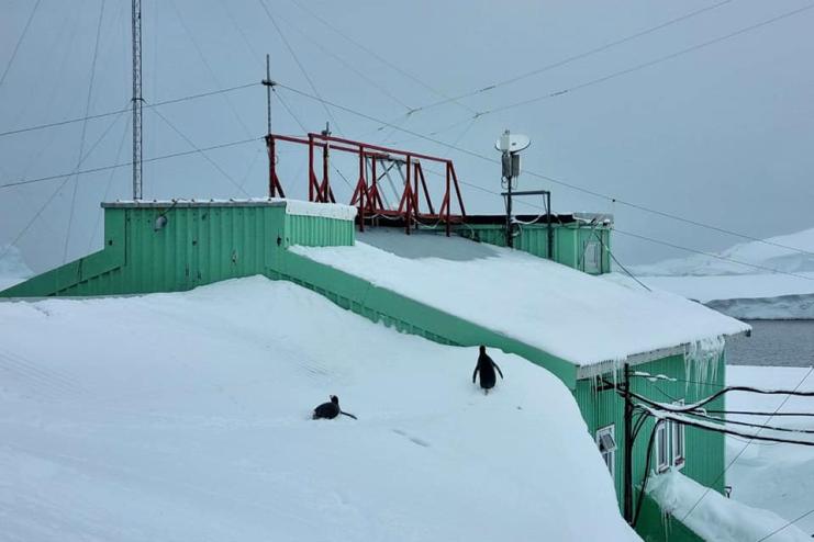 Біля станції "Академік Вернадський" випала рекордна кількість снігу – понад 3 м у висоту!